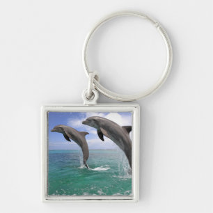 Delfin, Dauphin, groberes Tuemmler, Tursiops 4 Schlüsselanhänger