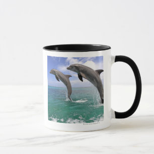 Delfin, Dauphin, groberes Tuemmler, Tursiops 4 Tasse