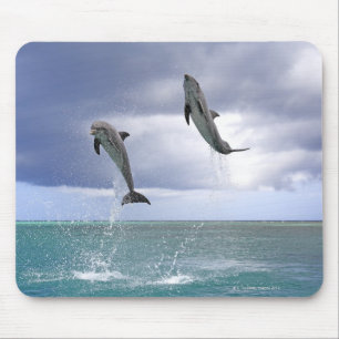 Delfin, Delphin, Grosser Tuemmler, Tursiops 2 Mousepad