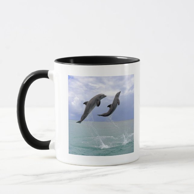 Delfin (groberes Tuemmler) Tasse (Links)