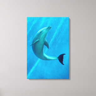 Delfin Leinwanddruck