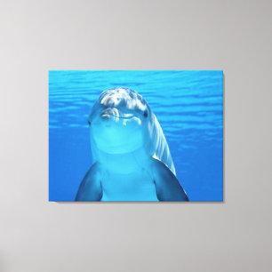 Delfin Leinwanddruck