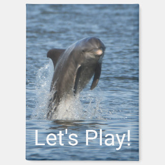 Delfin Magnet
