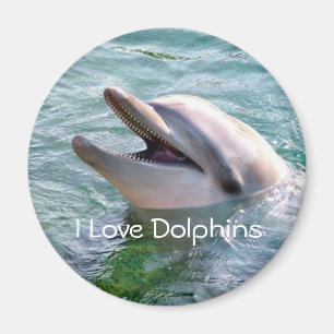 Delfin Magnet