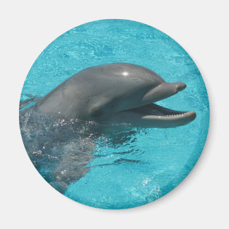 Delfin Magnet