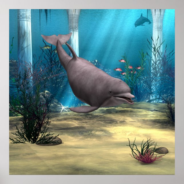 Delfin Poster (Vorne)