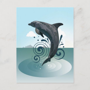 Delfin Postkarte