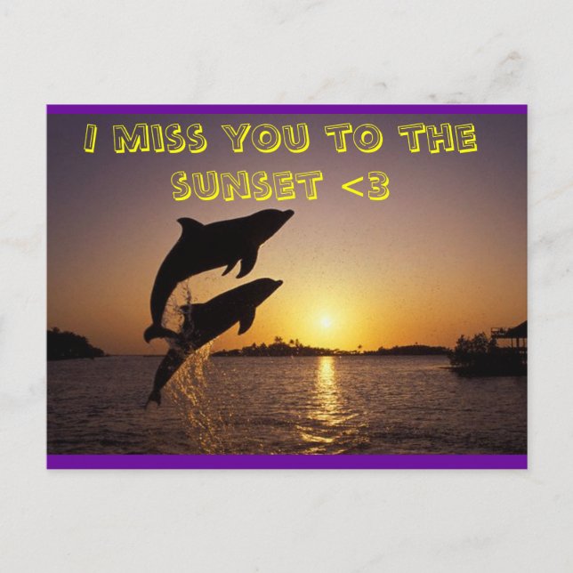 Delfin Postkarte (Vorderseite)