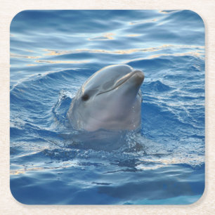 Delfin Rechteckiger Pappuntersetzer