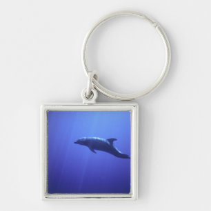 Delfin Schlüsselanhänger