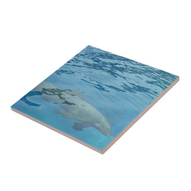 Delfin schwimmt durch klares blaues Wasser Fliese (Seite)