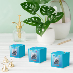 Delfin-Splash-Party Geschenkschachtel