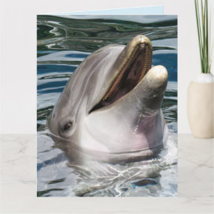 DELFIN ÜBERGROßE GEBURTSTAGSKARTE KARTE