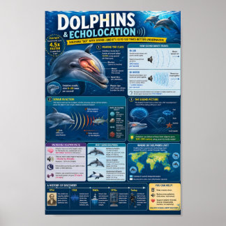 Delfine Infografik Poster