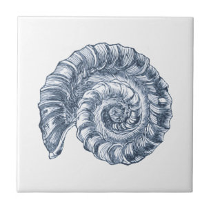 Delft-Blau-Ammonit-Meeresmuschel-Nautisches Strand Fliese