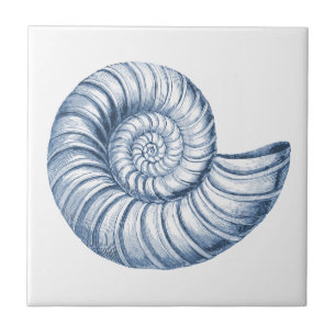 Delft-Blaues Nautilus-Schneckenhaus-Maritimes Stra Fliese
