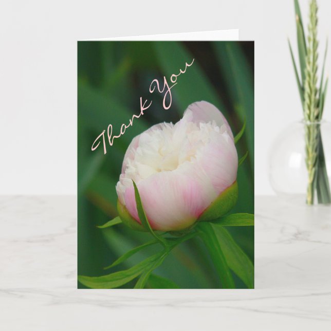 "DELICATE BLUSHING PEONY/ DANK-YOU "NOTECARD DANKESKARTE (Vorderseite)