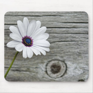 Delicate Daisy Mousepad