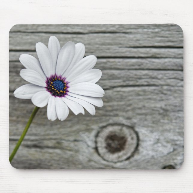 Delicate Daisy Mousepad (Vorne)
