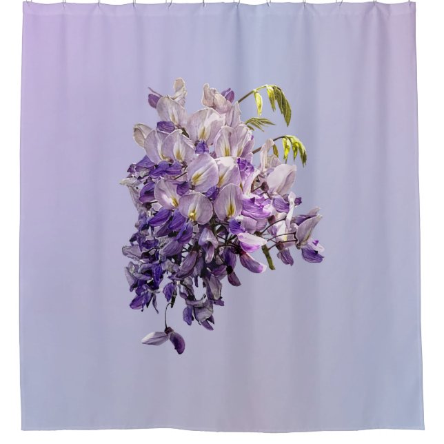Delicate Wisteria Duschvorhang (Vorderseite)