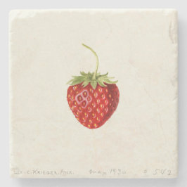 Delicious Red Strawberry (von Louis C.C. Krieger) Steinuntersetzer