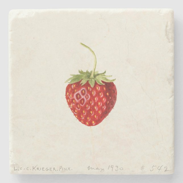 Delicious Red Strawberry (von Louis C.C. Krieger) Steinuntersetzer (Vorderseite)