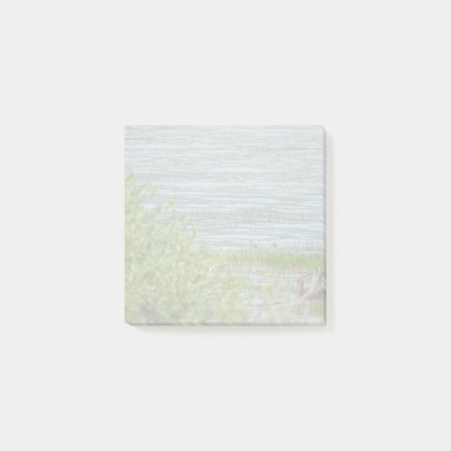 Delikatbewegung Post-it Klebezettel (Vorderseite)