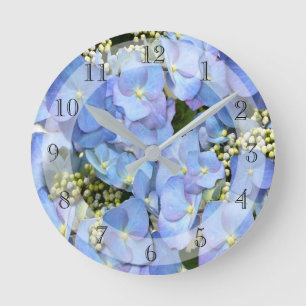 Delikatblauer Lacecap Hydrangea Runduhr Runde Wanduhr