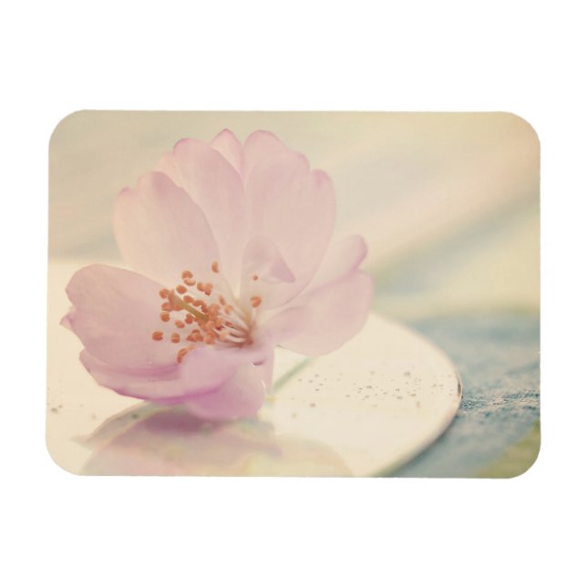 Delikate Blume Soft Pink Cherry Blossom Magnet (Horizontal)