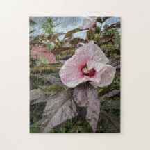 "Delikate Blütenblätter" Hibiskus Blume