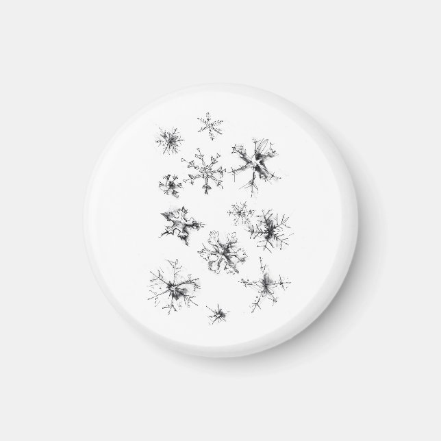 Delikate fallende Schneeflocken Magnet (Vorne)