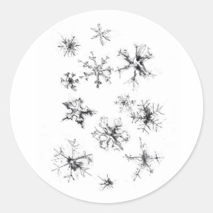 Delikate fallende Schneeflocken Runder Aufkleber