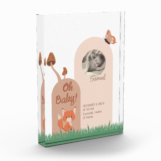 Delikate Forest-Themed Fox Babys Fotoblock (Links)