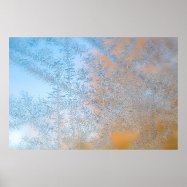 Delikate Frostmuster, Wisconsin Poster (Vorne)
