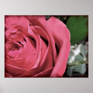 Delikate Gefühle Poster