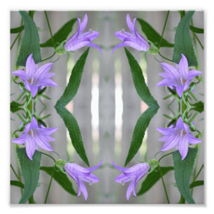 Delikate Lila Lily-Blume Mirror Abstrakt 8x8 Fotodruck