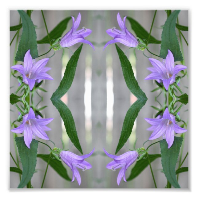 Delikate Lila Lily-Blume Mirror Abstrakt 8x8 Fotodruck (Vorne)