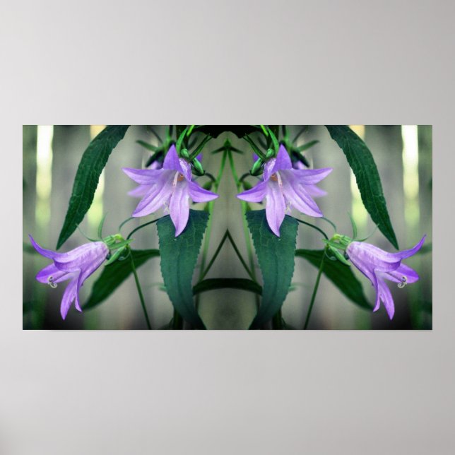 Delikate Lila Lily-Blume Spiegeln Abstrakt Poster (Vorne)