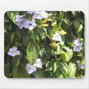 Delikate Morning Glories Mousepad