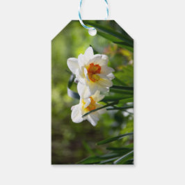 Delikate niedliche Narzissen Geschenkanhänger