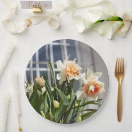 Delikate niedliche Narzissen Pappteller