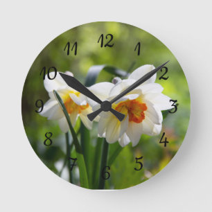 Delikate niedliche Narzissen Runde Wanduhr