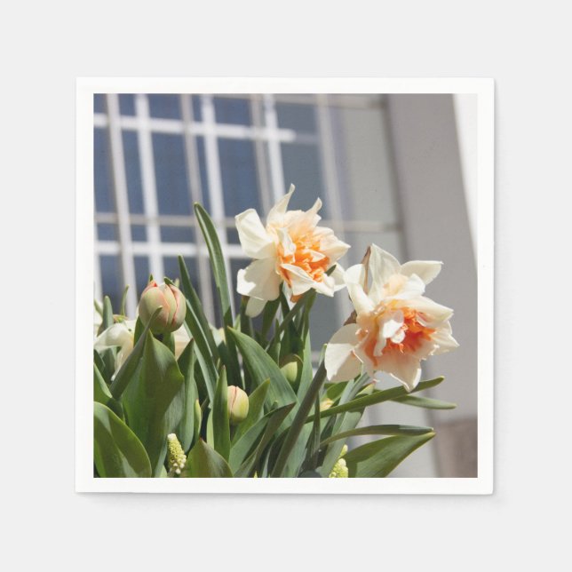 Delikate niedliche Narzissen Serviette (Vorderseite)