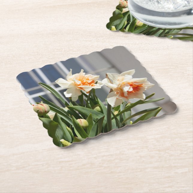 Delikate niedliche Narzissen Untersetzer (angewinkelt)