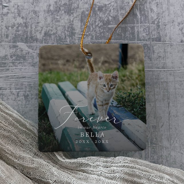 Delikate Overlay Foto Cat Memorial Holiday Keramikornament (Von Creator hochgeladen)