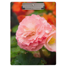 Delikate rosa Blume nach Regen Klemmbrett