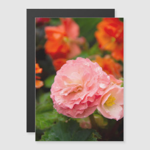 Delikate rosa Blume nach Regen Magnetkarte