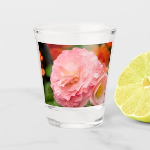 Delikate rosa Blume nach Regen Schnapsglas