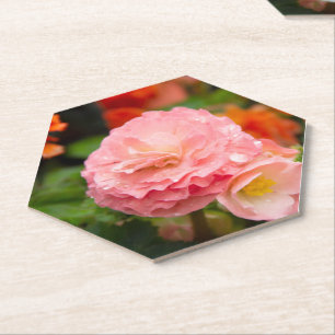 Delikate rosa Blume nach Regen Untersetzer