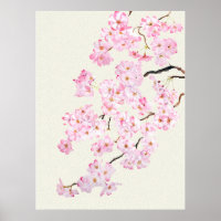 Delikate Rosa Kirschblüte Aquarell 2024